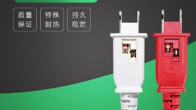 2021年，我們不見不散-電源線廠家